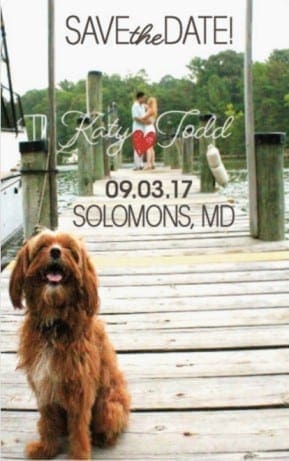 dogs save the dates. Maryland Wedding.
