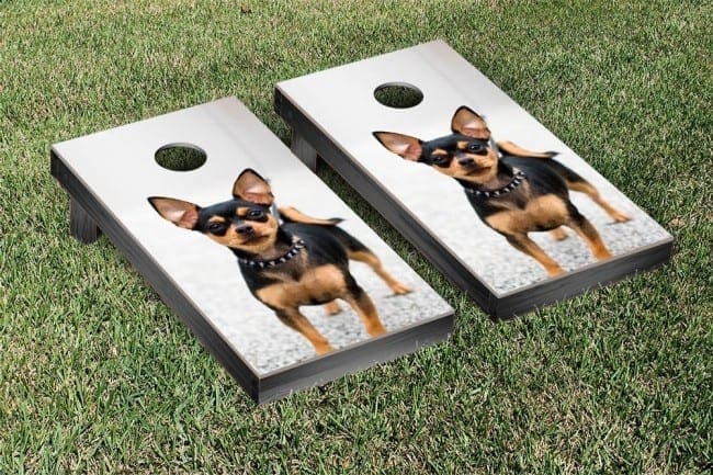 dog photos as wedding entertainment on cornhole