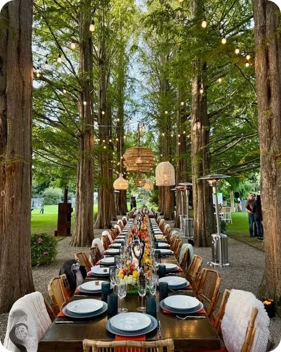 Long banquet table set under towering redwood trees with rattan chandeliers and string lights at an outdoor event