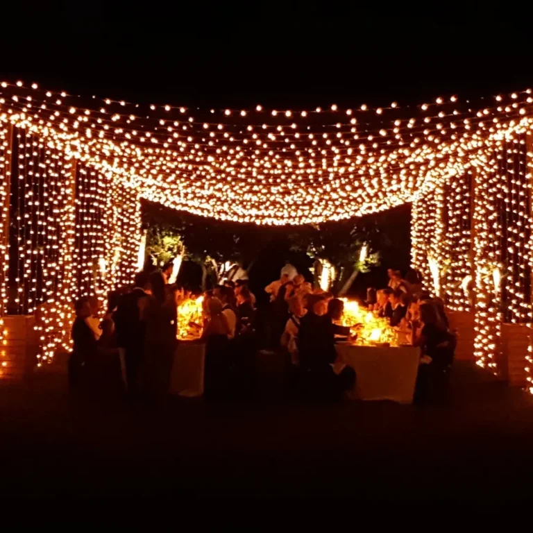 Los invitados cenan en una mesa larga bajo un túnel de cálidas luces de cordón en un evento nocturno al aire libre.