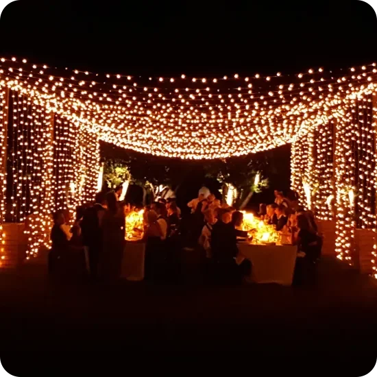 Los invitados cenan en una mesa larga bajo un túnel de cálidas luces de cordón en un evento nocturno al aire libre.